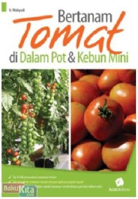 Bertanam Tomat di Dalam Pot & Kebun Mini