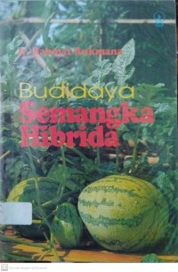 Budidaya Semangka Hibrida