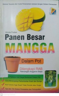 Panen Besar Mangga dalam Pot