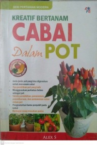 Kreatif Bertanam CABAI dalam Pot