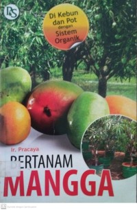 Bertanam Mangga