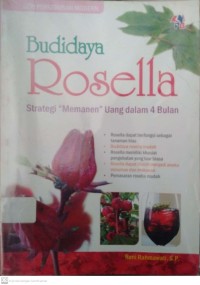 Budidaya Rosella: strategi menanam uang dalam 4 bulan