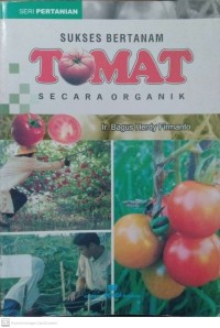 Sukses Bertanam Tomat Secara Organik