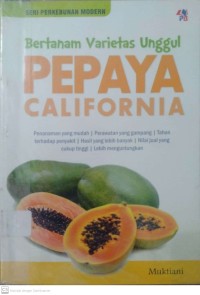 Bertanam Varietas Unggul PEPAYA CALIFORNIA