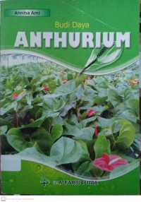 Budi Daya Anthurium