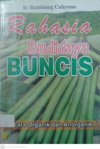 Rahasia Budidaya BUNCIS Secara Organik dan Anorganik