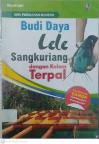 Budi Daya Lele Sangkuriang dengan Kolam Terpal