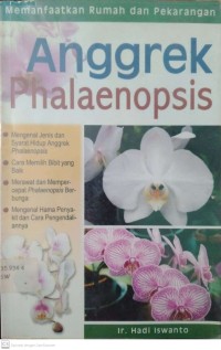 Anggrek Phalaenopsis