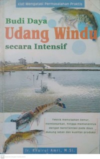 Budi Daya Udang Windu secara intensif