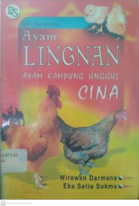 Ayam Lingnan Ayam Kampung Unggul Cina