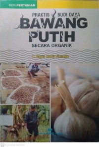 Praktis Budi Daya Bawang Putih secara organik